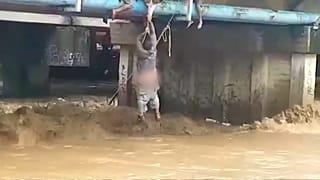 Los mejores vídeos 'No comment' de la semana