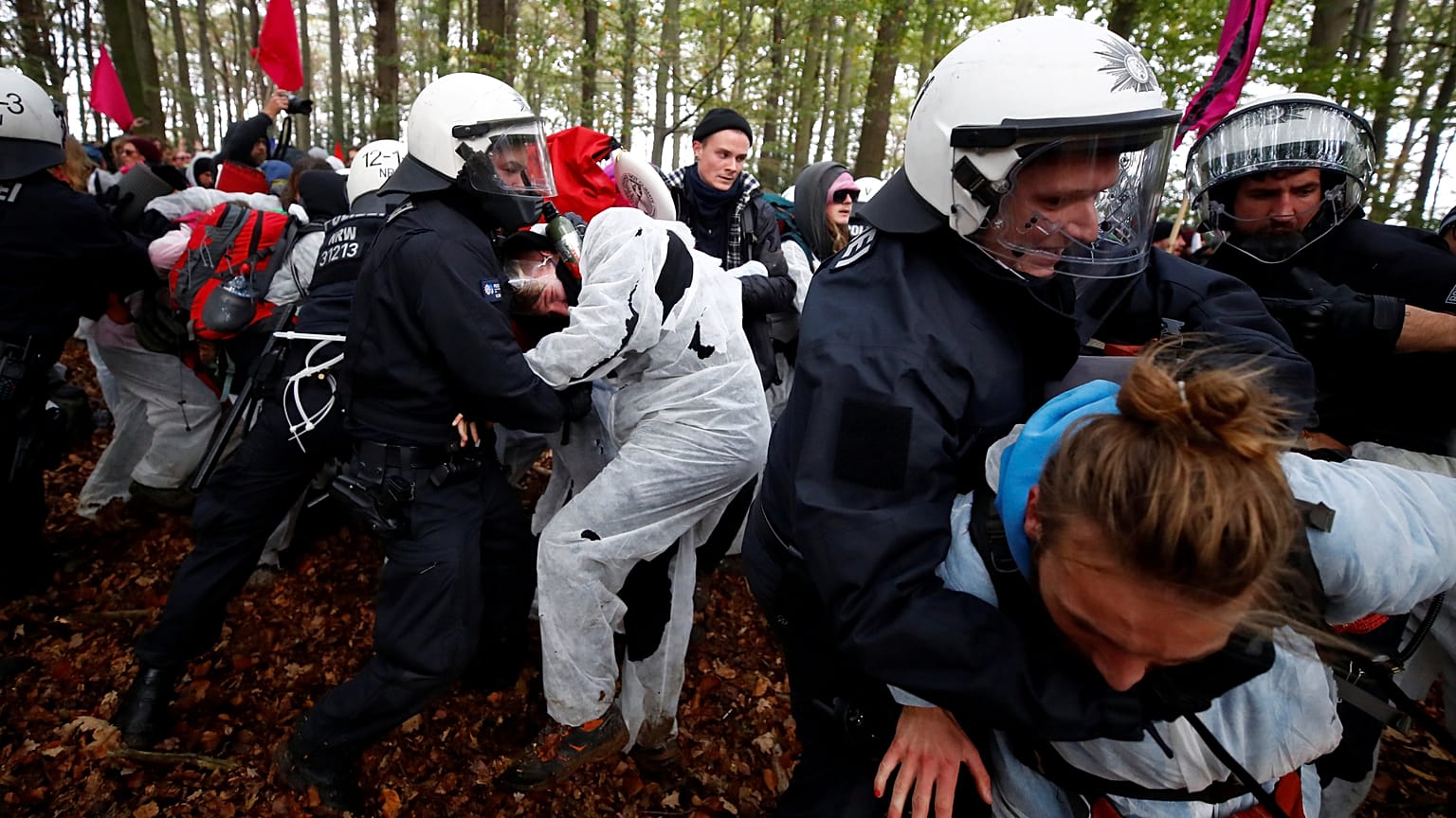 Hambacher Forst: Umweltschützer gegen Braunkohle-Abbau (VIDEO) 