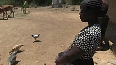 Au Kenya, un projet de revenu universel