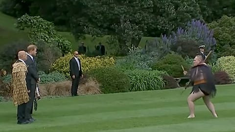 Duques de Sussex em Wellington