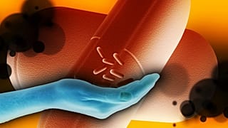 تولید داروهای اختصاصی براساس ترکیب ژنتیکی هر فرد در آینده نزدیک
