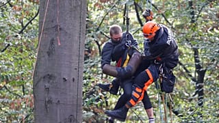 Hambacher Forst: Räumung der Polizei geht weiter. Aktivisten besetzen Baumhäuser. 