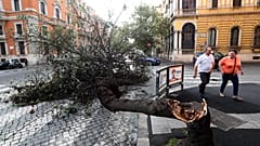 Soğuk hava Avrupa'da can aldı: İtalya’da 11 kişi hayatını kaybetti