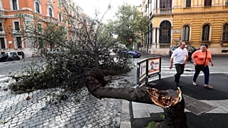 Soğuk hava Avrupa'da can aldı: İtalya’da 11 kişi hayatını kaybetti