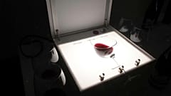 Die Lightbox guckt ganz tief in den Wein