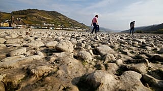 Niedrigwasser am Rhein: Wasserstand sinkt weiter. Hitzewelle hält an