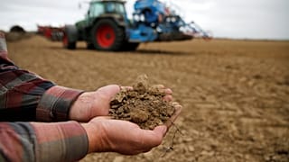 Hitzewelle in Deutschland: Bauern fordern eine Milliarde Euro Entschädigung