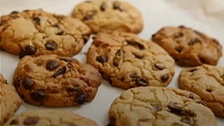 Biscotti con grilli, larve e formiche nel menù di una scuola australiana