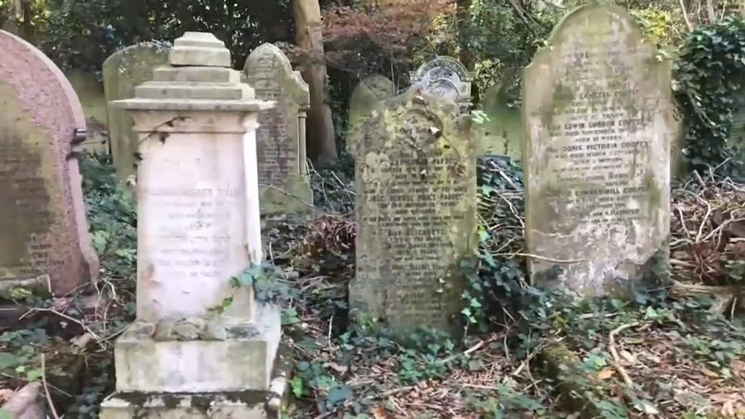 Graves at the City of London Cemetery and Crematorium