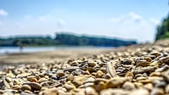 Niedrigwasser und hohe Spritpreise