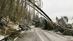 Maltempo: ancora disagi e morti, centri isolati nel bellunese