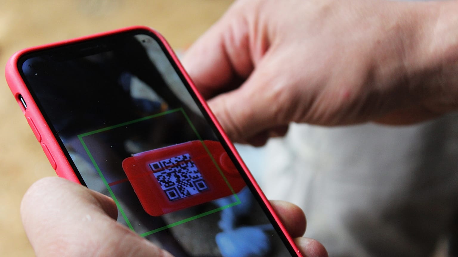 Cellulari-tumori: scoperta una correlazione, ma non è il caso di preoccuparsi