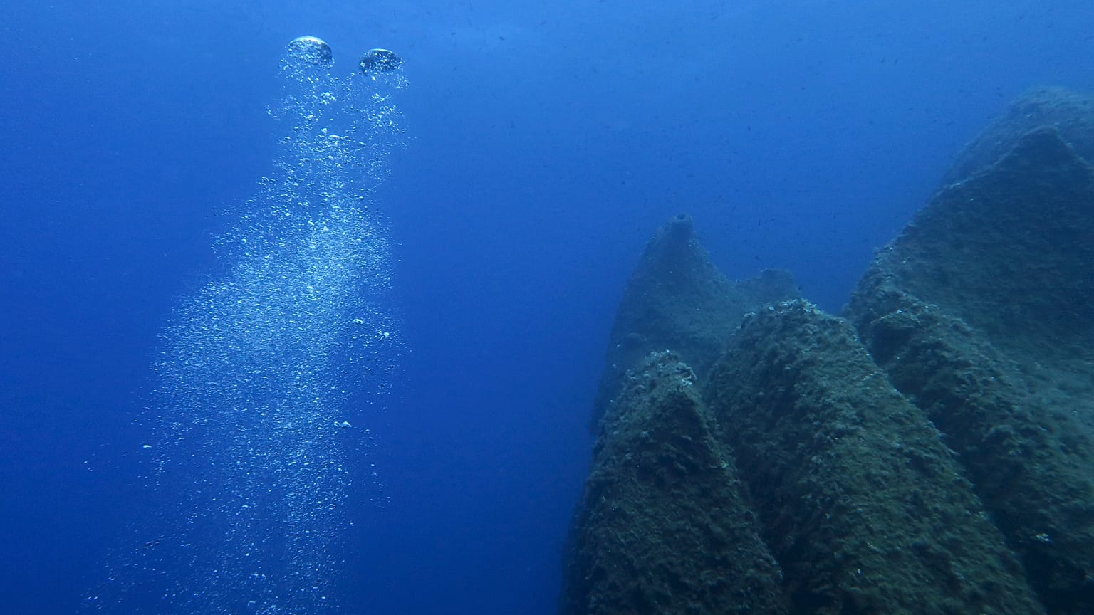 Oceans, wilderness, UK weather: scientists step up climate warnings