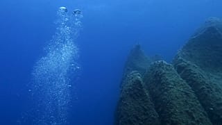Oceans, wilderness, UK weather: scientists step up climate warnings