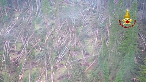Violent storms flatten forests in Italy’s Belluno