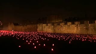 Começam celebrações do centenário do Armistício