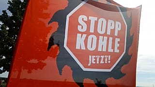 Foresta di Hambach: la protesta degli ambientalisti delle case sugli alberi