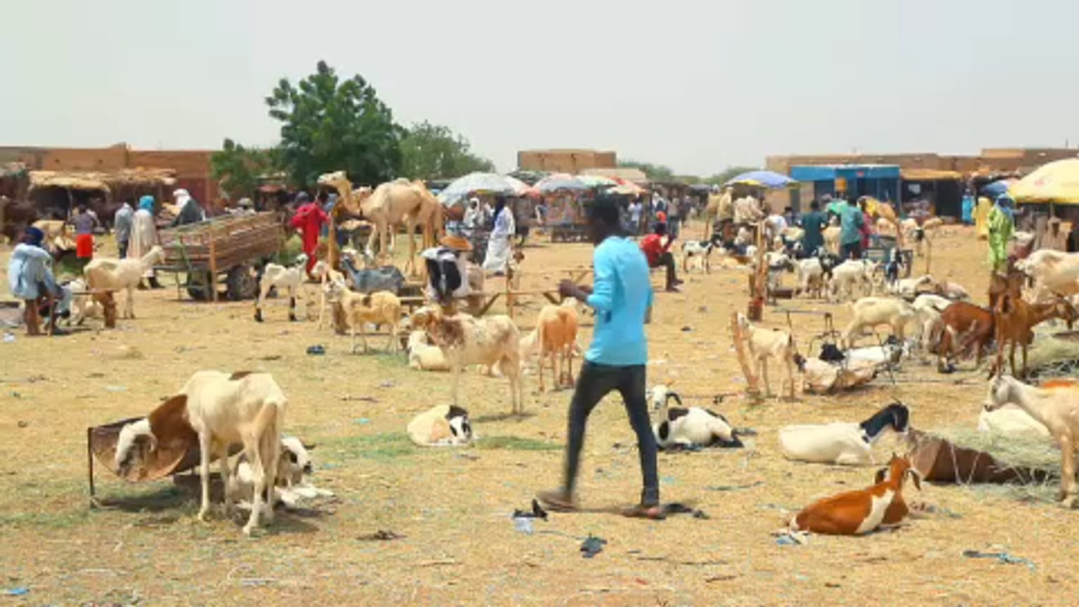 La población de Agadez pierde su mayor fuente de ingresos debido al descenso del flujo migratorio