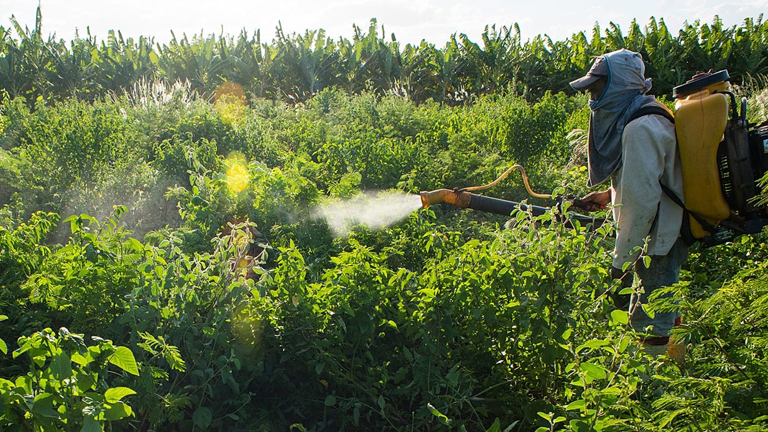 Türkiye kimyasal tarım ilacı satışında Avrupa dördüncüsü