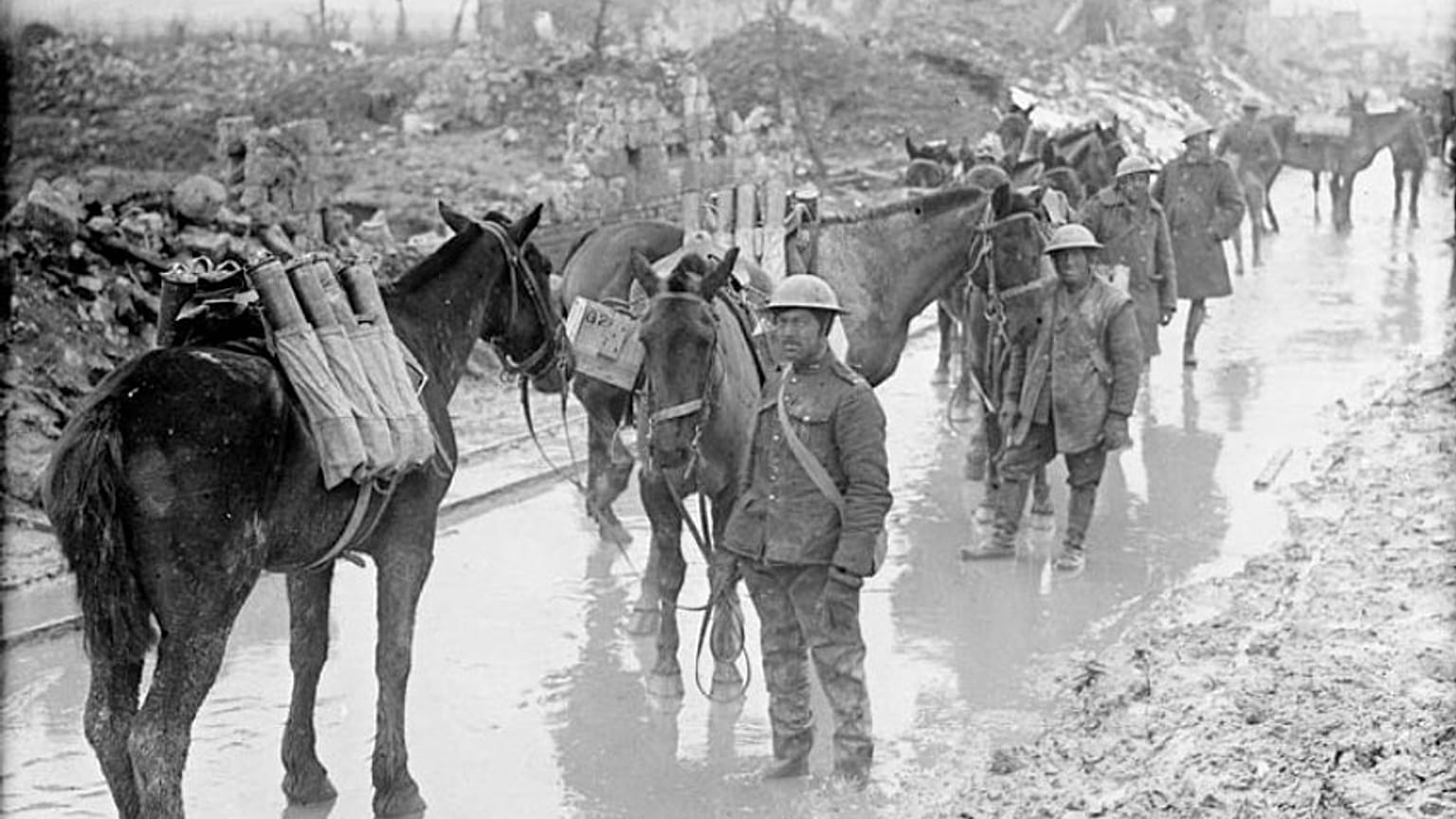 Horses carry munitions for Candian soldiers in France, April 2017.