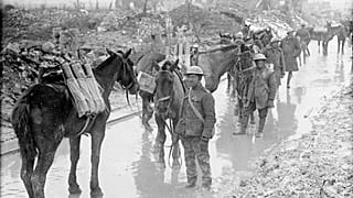 Horses carry munitions for Candian soldiers in France, April 2017.