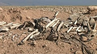 Iraq: scoperte oltre 200 fosse comuni attribuite all'Isis