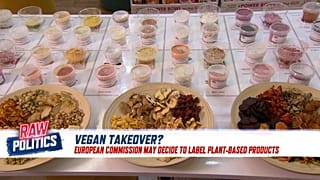 Should food labelling be made clearer for vegans? | Raw Politics