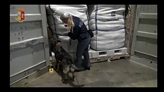 В порту Генуи изъяли 270 кг героина