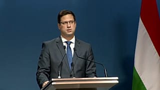 Gulyás Gergely: rossz precedens a 7-es cikk szerinti eljárás
