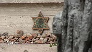 Kristallnacht - One Survivor's Story