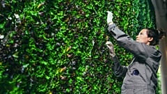 Are vertical farms the answer to healthier, longer-lasting food?