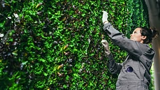 Are vertical farms the answer to healthier, longer-lasting food?