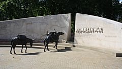 Animals in War Memorial in Park Lane, London