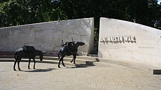 Animals in War Memorial in Park Lane, London