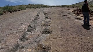 La reserva natural en Bolivia que podría convertirse en el nuevo 'Parque Jurásico'