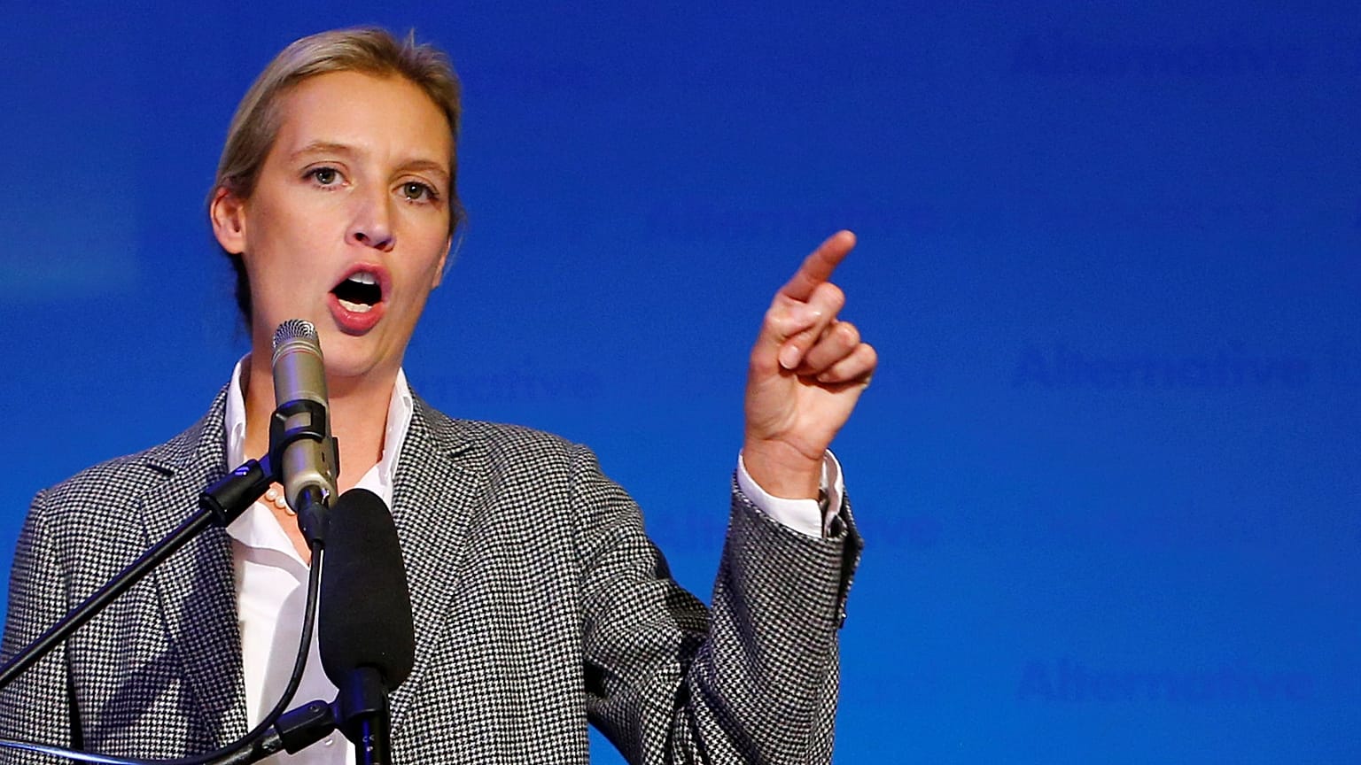 130.000 € für die AfD aus der Schweiz: Muss Weidel zurücktreten?