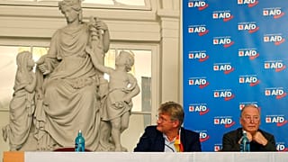 AfD: Ärger um 130.000 Euro-Spende aus der Schweiz