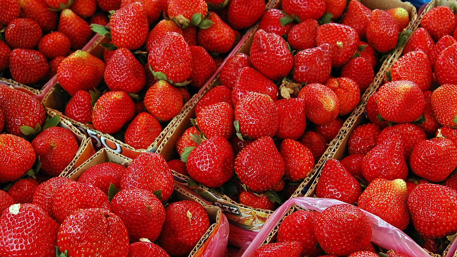 Australia's strawberry industry is worth €102 million