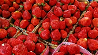 Australia's strawberry industry is worth €102 million