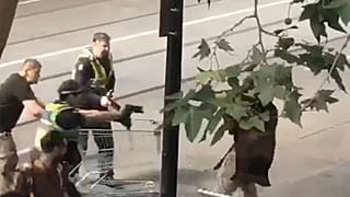 Hatalmas összeget gyűjtöttek a hajléktalan hősnek Melbourne-ben