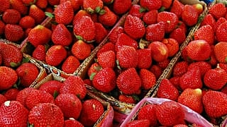 Nadeln in Erdbeeren gesteckt: 50-jährige Australierin angeklagt