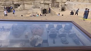 The beetles were found in tombs discovered in the last six months