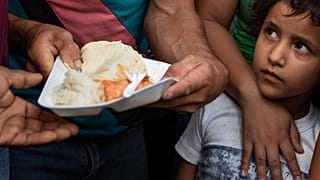 Súlyosabbak és magasabbak az emberek, ezért több élelmiszerre lesz szükség