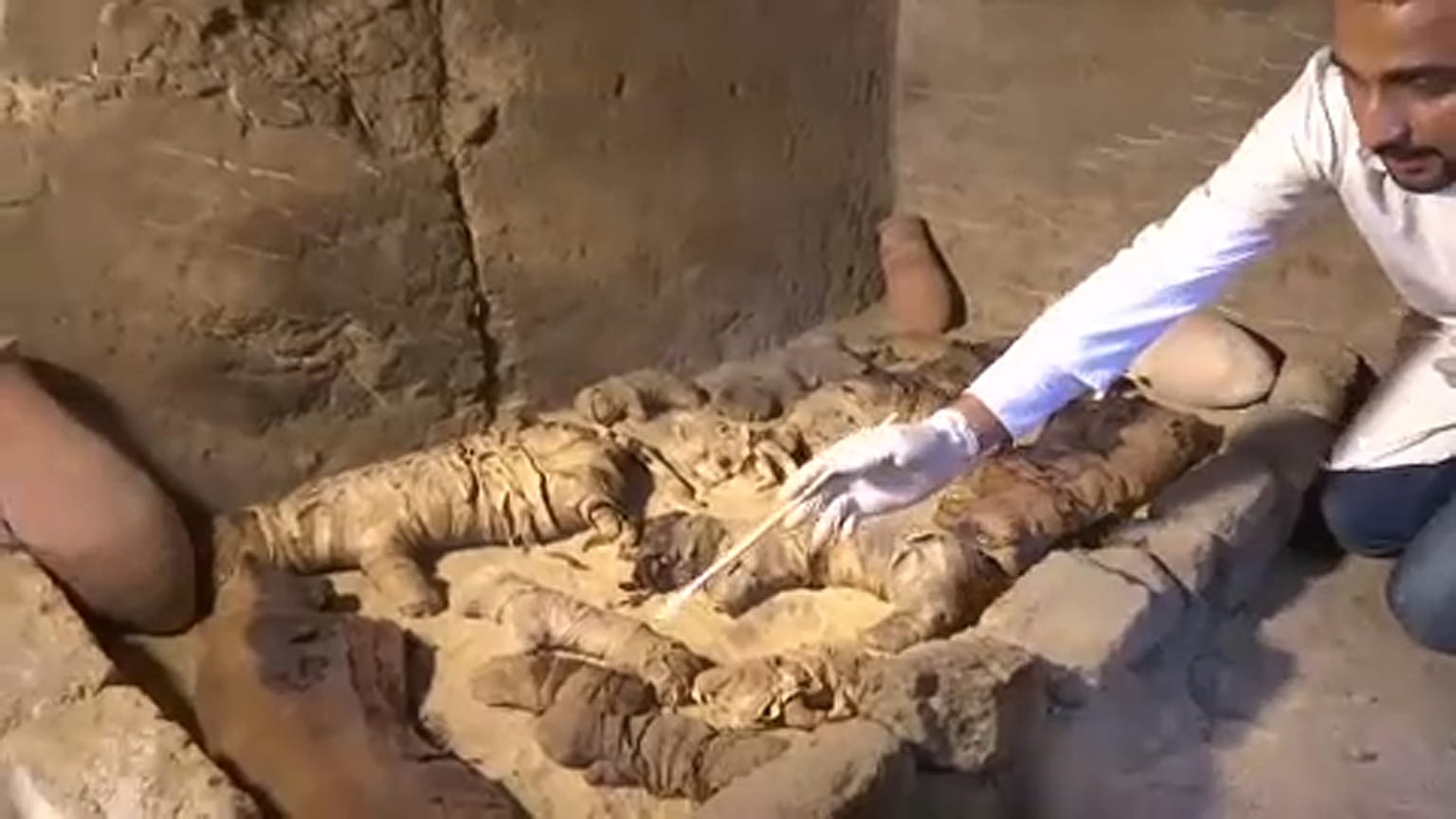 Egitto: scoperti animali mummificati, alcuni risalgono a 6000 anni fa
