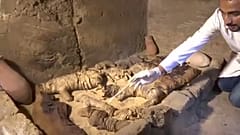 Mumifizierte Katzen: Friedhof der heiligen Tiere entdeckt
