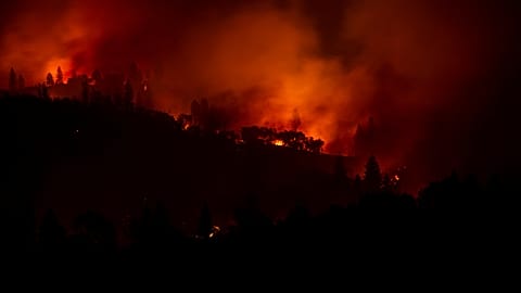 California fires and Brexit protests: No Comment of the week
