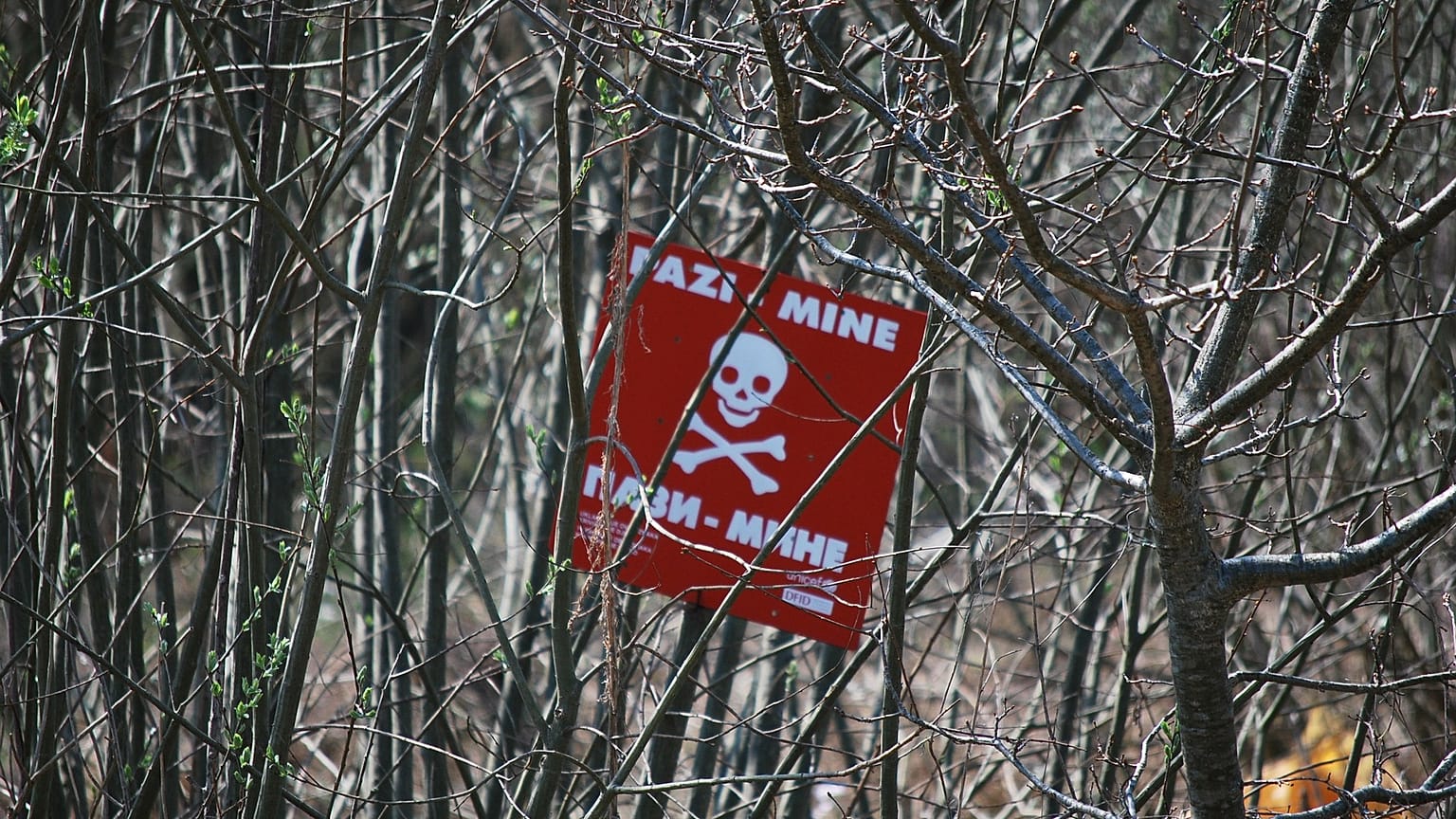 Ναρκοπέδιο του Δεύτερου Παγκόσμιου Πολέμου ανακαλύφθηκε κοντά σε πυρηνικό σταθμό!