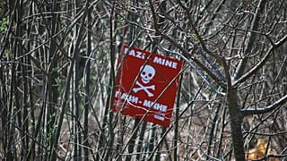 Ναρκοπέδιο του Δεύτερου Παγκόσμιου Πολέμου ανακαλύφθηκε κοντά σε πυρηνικό σταθμό!