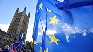 Türkiyeli göçmenler Brexit ile ilgili ne düşünüyor?