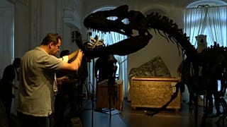 Envie d'égayer votre salon ? Et si vous vous offriez un dinosaure...